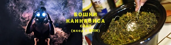 ПСИЛОЦИБИНОВЫЕ ГРИБЫ Арсеньев