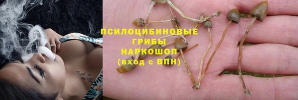 ГАЛЛЮЦИНОГЕННЫЕ ГРИБЫ Армянск