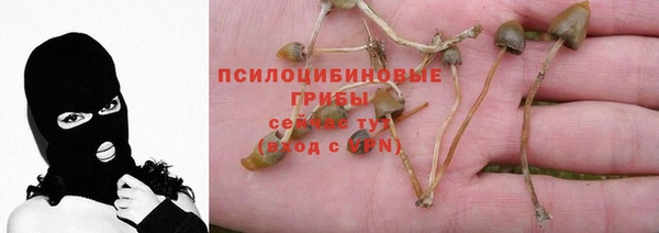 каннабис Аркадак