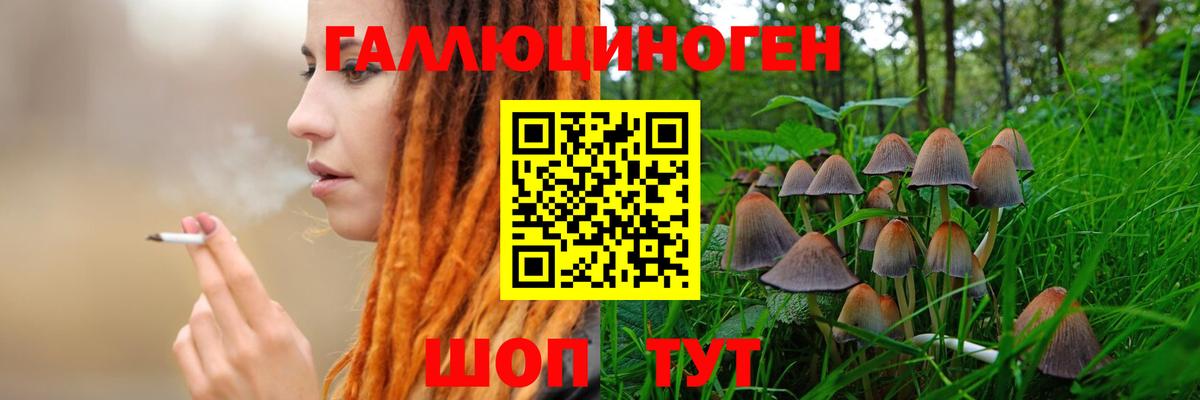 Галлюциногенные грибы Magic Shrooms  Вход с VPN  Ярцево  Галлюциногенные грибы мицелий 